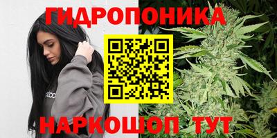 дживик Будённовск