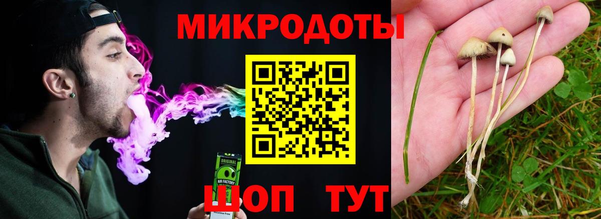 Галлюциногенные грибы мицелий Тельмана